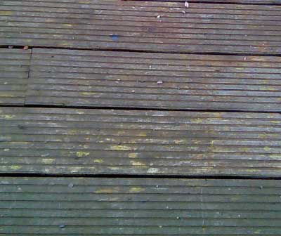 Slime covered deck